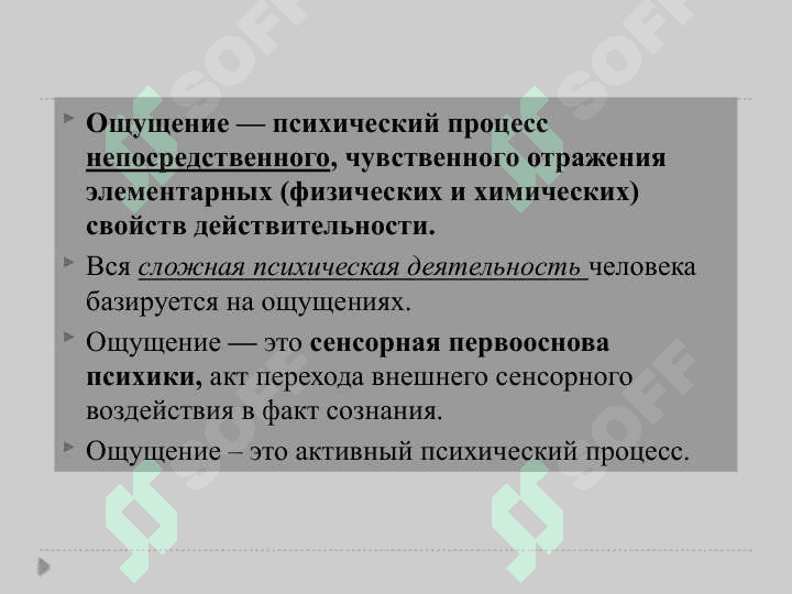 Познавательные процессы. Ощущение 2