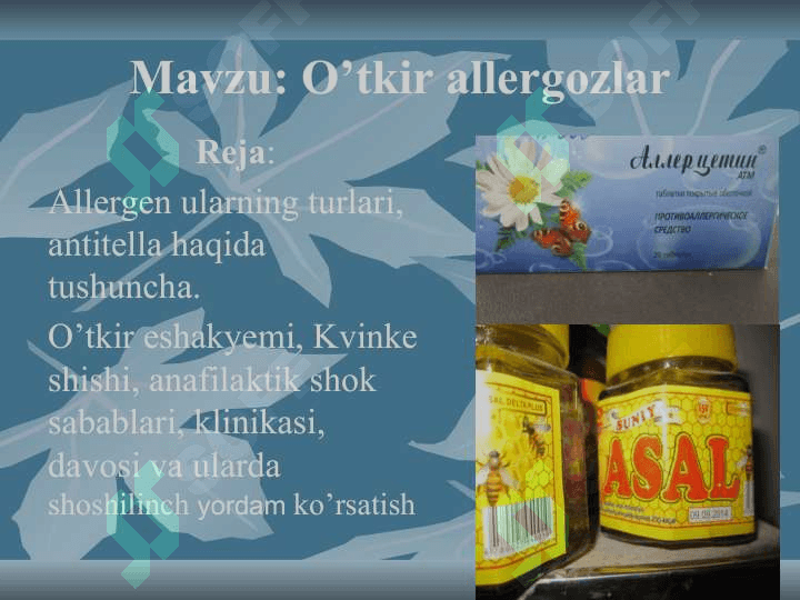 O’tkir allergozlar slayd ppt pptx 3