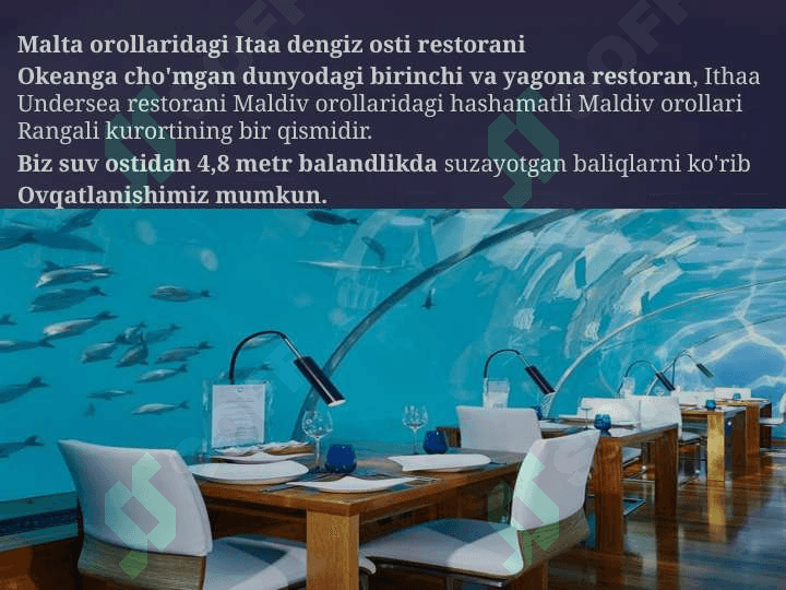 Dunyodagi eng chiroyli 12 ta  restorani 2