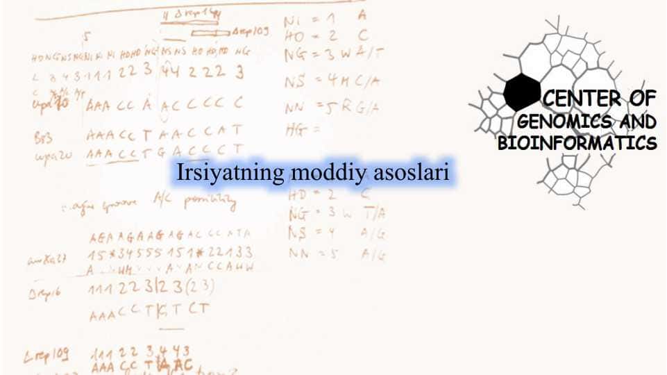 Irsiyatning moddiy asoslari