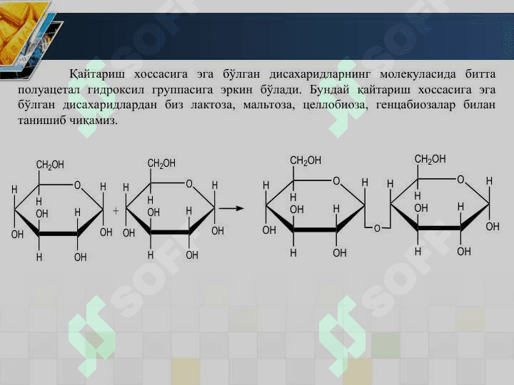 ОЛИГО - ВА ПОЛИСАХАРИДЛАР 3