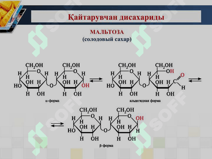 ОЛИГО - ВА ПОЛИСАХАРИДЛАР 5