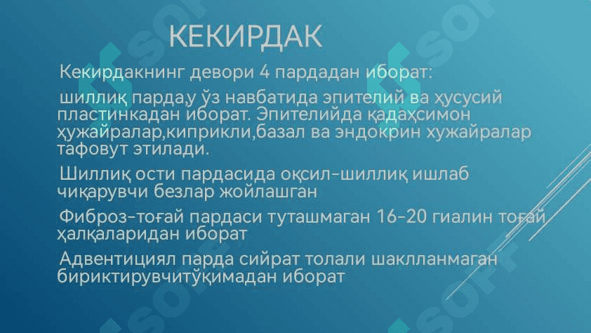 Nafas olish sistemasi 8