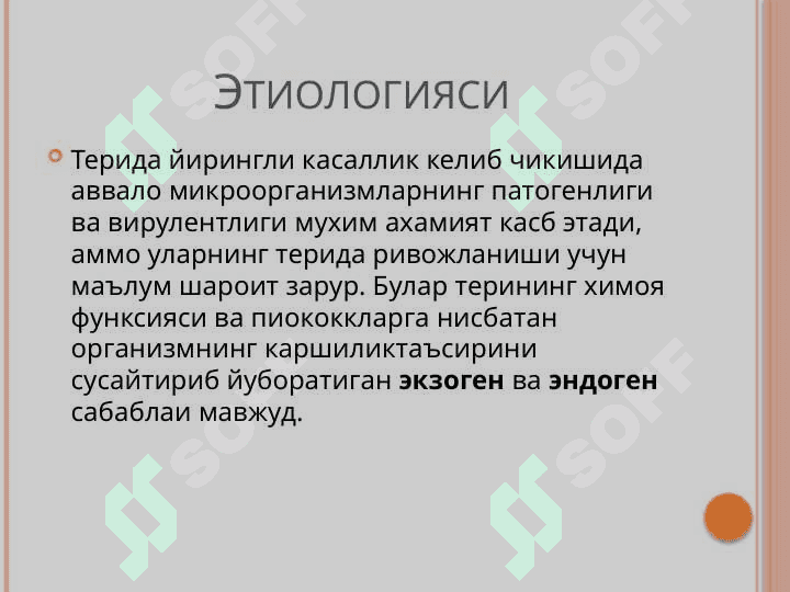 Пиодермия Хусунбузар Себорея 3