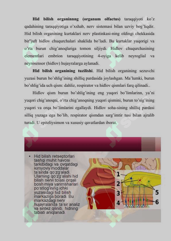 Hid bilish organi 2
