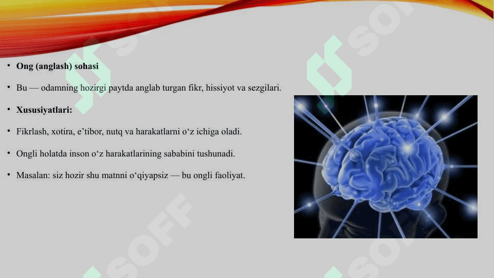 Ong va ong osti sohasi 3