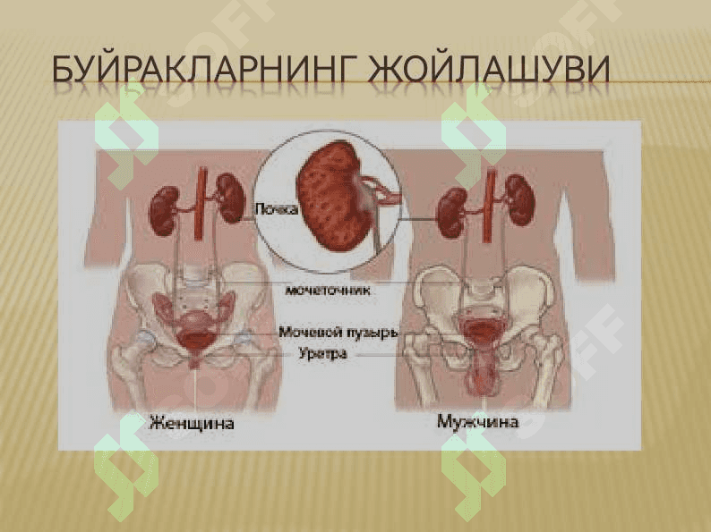 СИЙДИК АЙИРУВ СИСТЕМАСИ 3