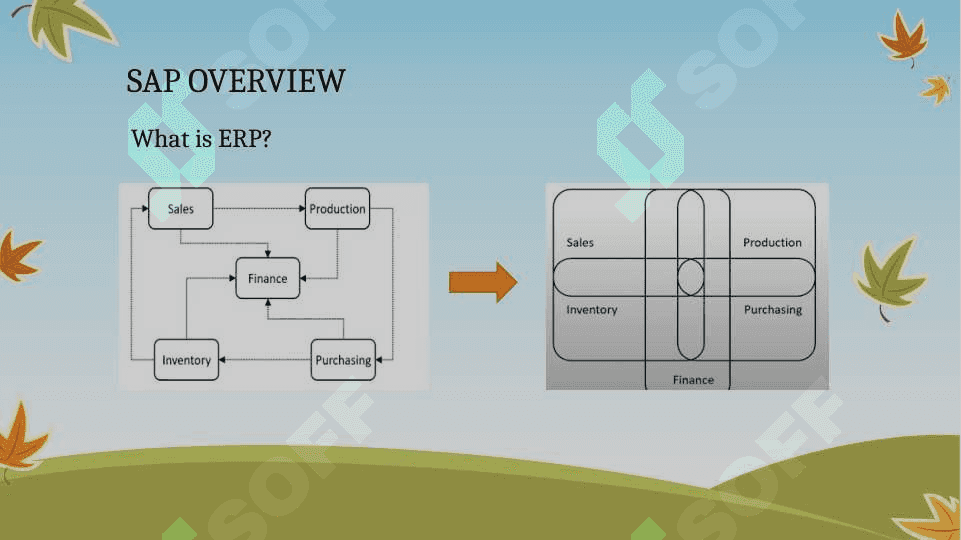 Enterprise Application Development(SAP) 4