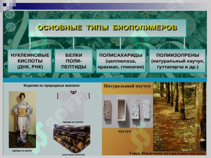 Химия полимеров 8