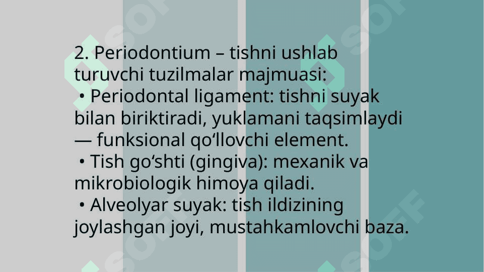 Funksional tinch holat. Stomatologiyadan organning funksional elementi. Chaynov mushaklari kuchi va ishi. Fiziologik elektron hodisasi. Silliq mushak fiziologiyasi 8