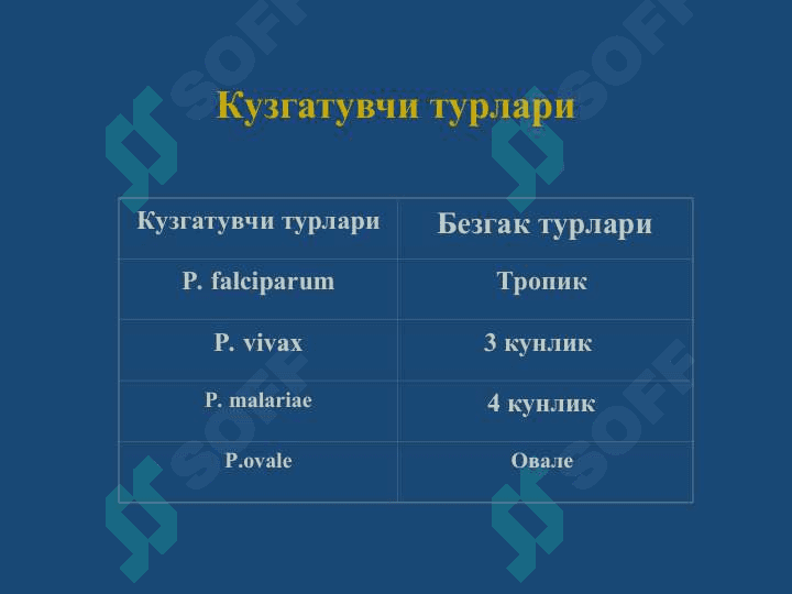 Безгак 6