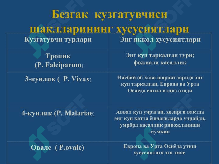 Безгак 7