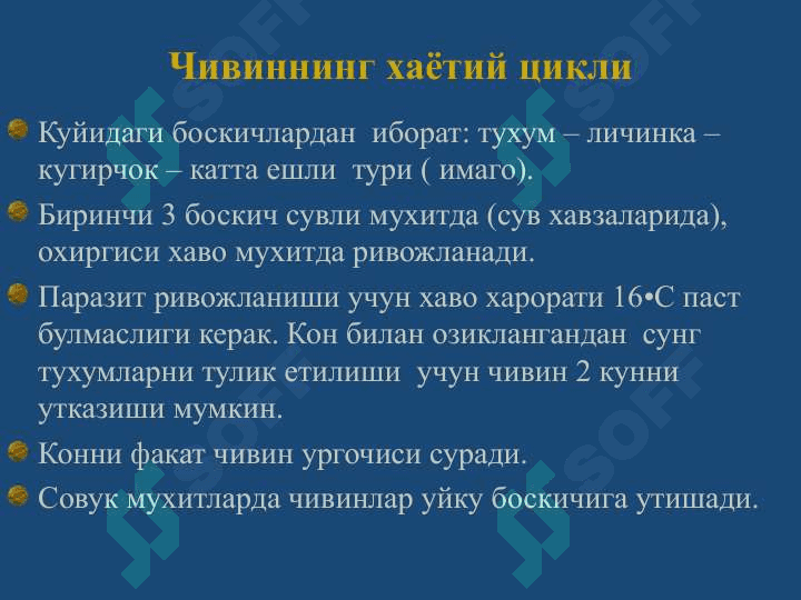 Безгак 8