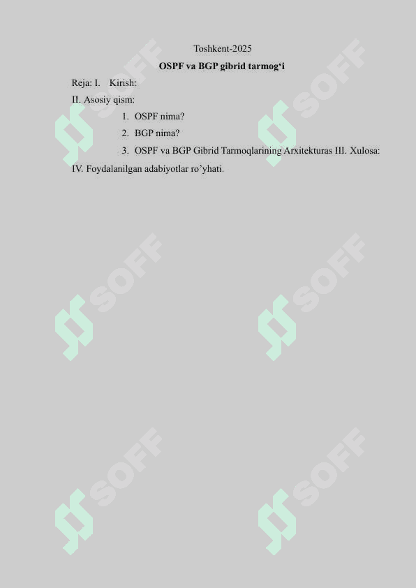 OSPF va BGP gibrid tarmog‘i 2