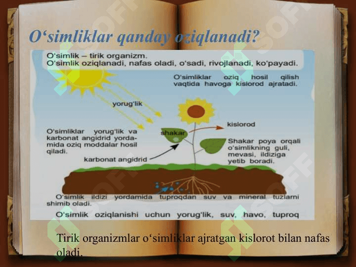 2-SINF 
TABIY FAN
“SAYOHAT 
DARS” 7