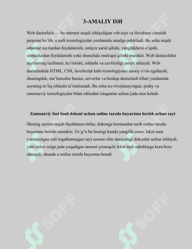 Web ilova ishlab chiqish 2