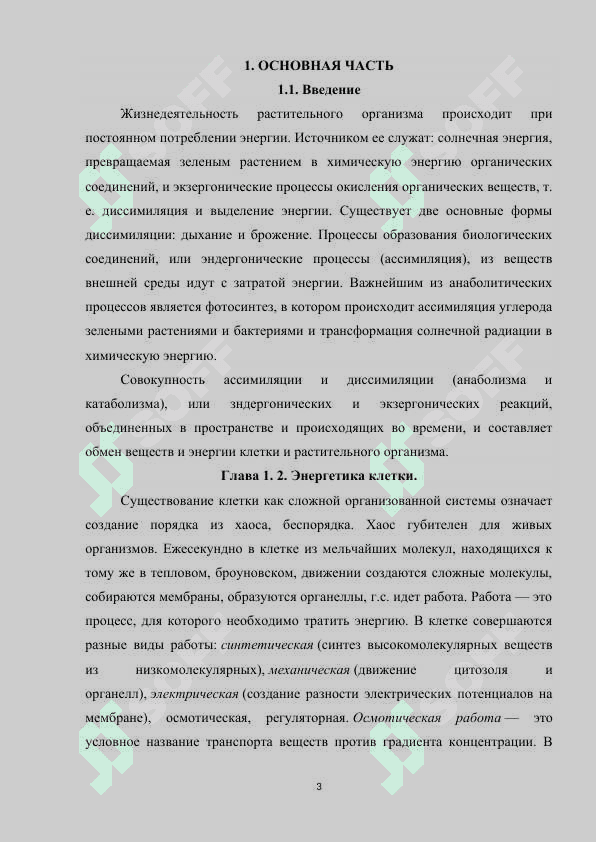 Энергетика растительной клетки.docx 3