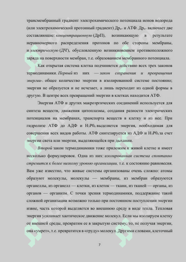 Энергетика растительной клетки.docx 7