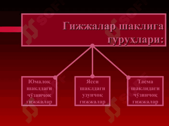 Гижжа касалликлари 3