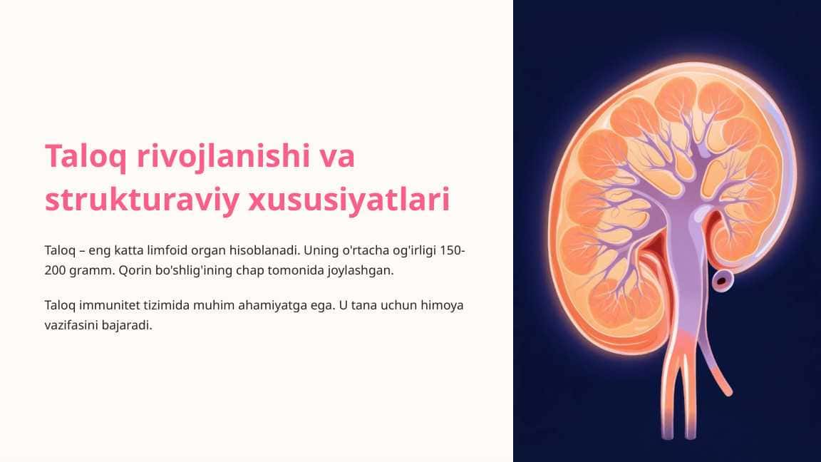 Taloq rivojlanishi va strukturaviy xususiyatlari 2