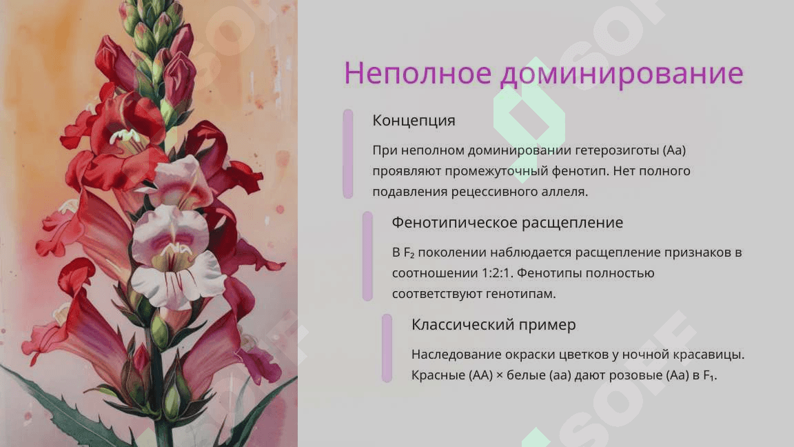 Моногибридное скрещивание. Взаимодействие аллельных генов, полилеллизм 8