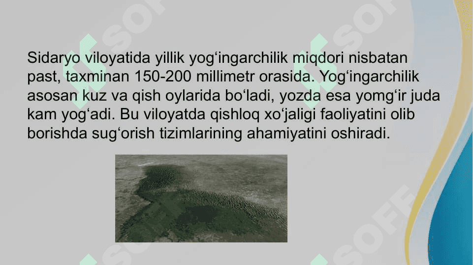 Guliston suv istemolchilar relefi 8