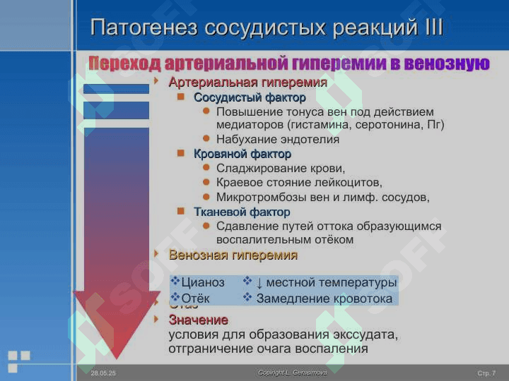 Воспаление 7