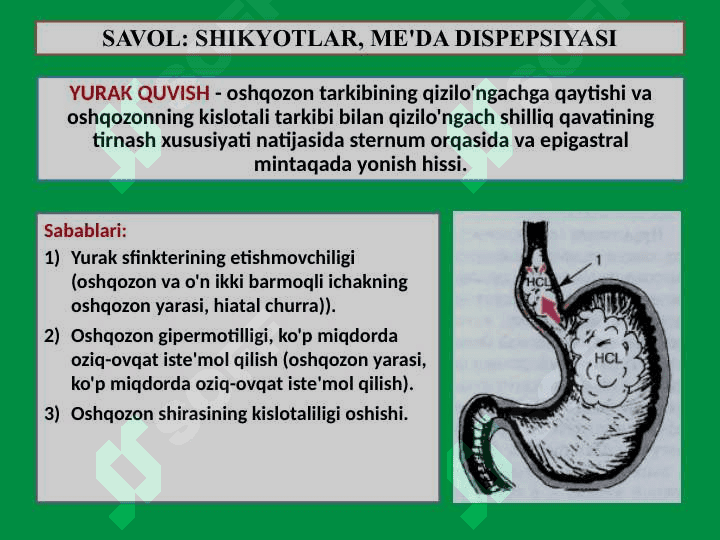 Qorinning yuza palpatsiyasi 6