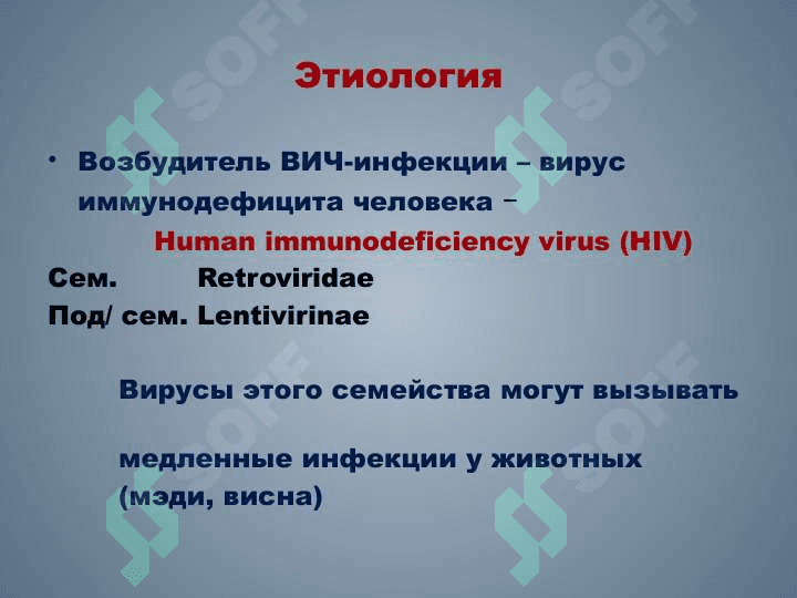РЕТРОВИРУСЫ  ВИЧ-ИНФЕКЦИЯ   СПИД 4