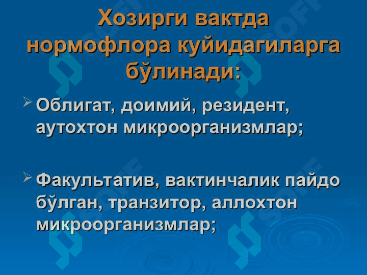 odam tanasi normal mikroflorasi pptx 6