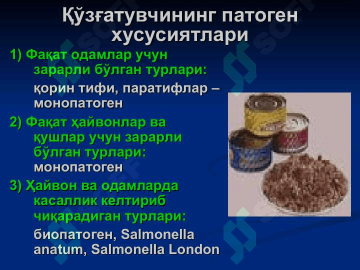 salmonnelyozlar pptx 5