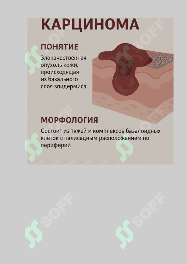 Паталогик анатомия(Таркатма материал) 3