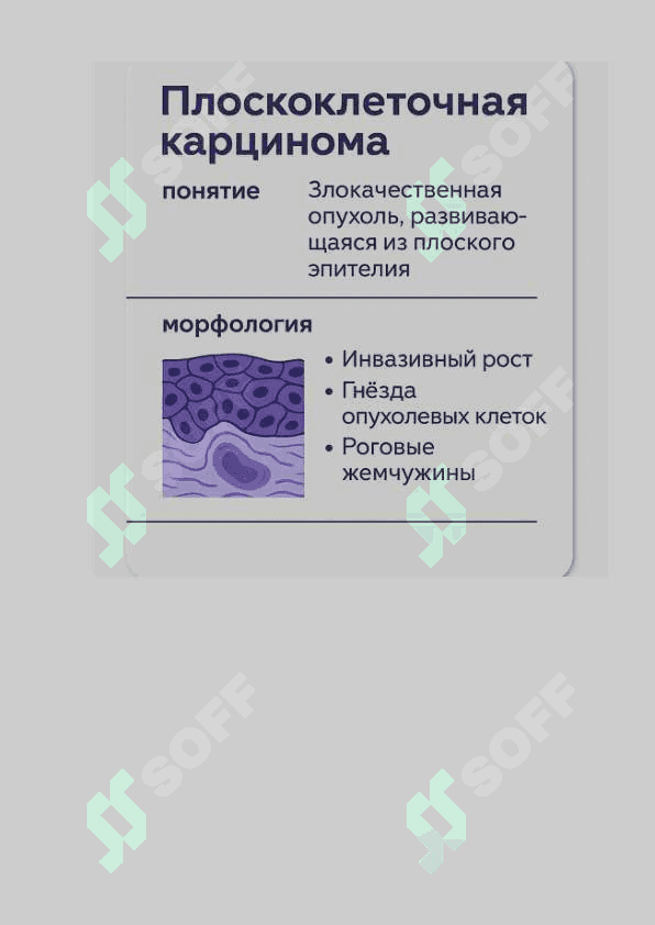 Паталогик анатомия(Таркатма материал) 4