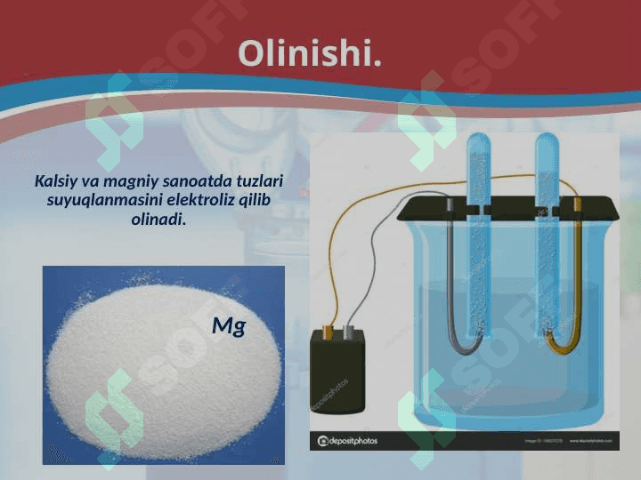 Kalsiy va magniy 8
