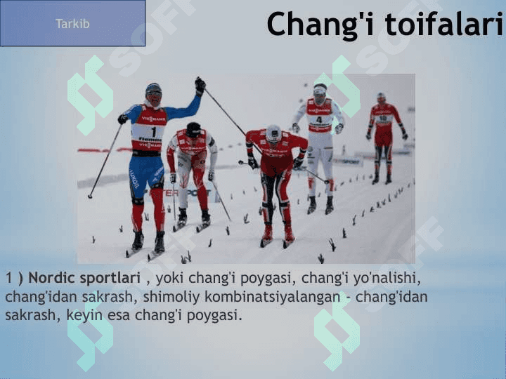 Qishki sport turlari 3