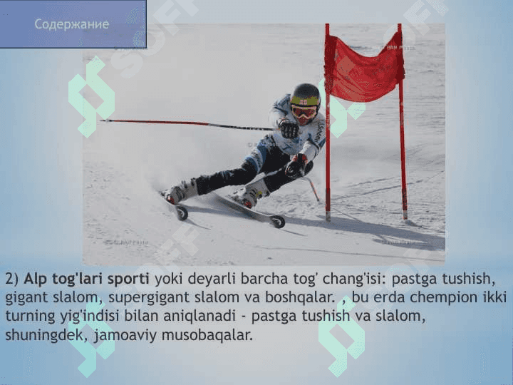 Qishki sport turlari 4