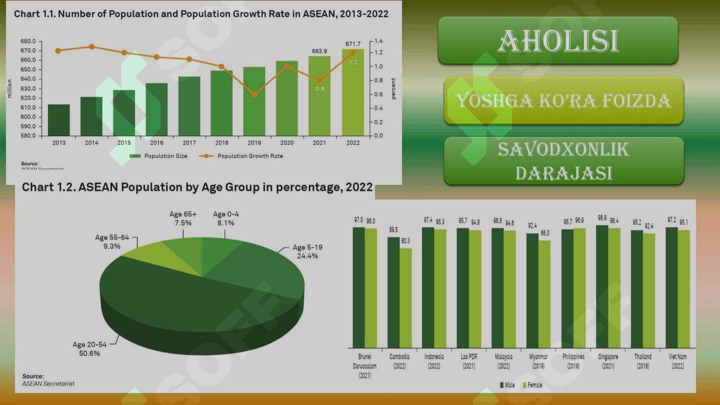 ASEAN xalqaro tashkiloti 4
