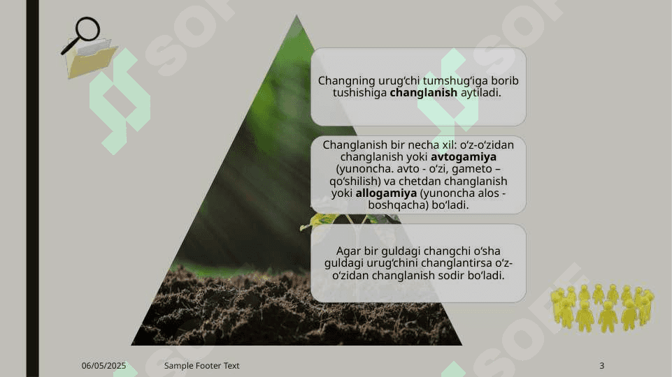 Guldagi chetdan changlanish va o‘z-o‘zidan changlanishga moslanishlar 3