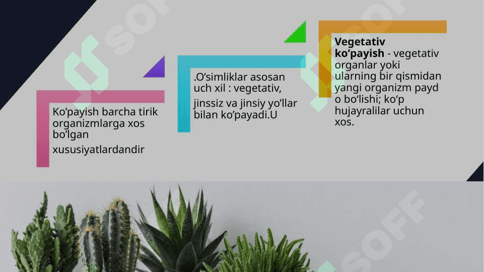 O’simliklarning ko’payishi 3