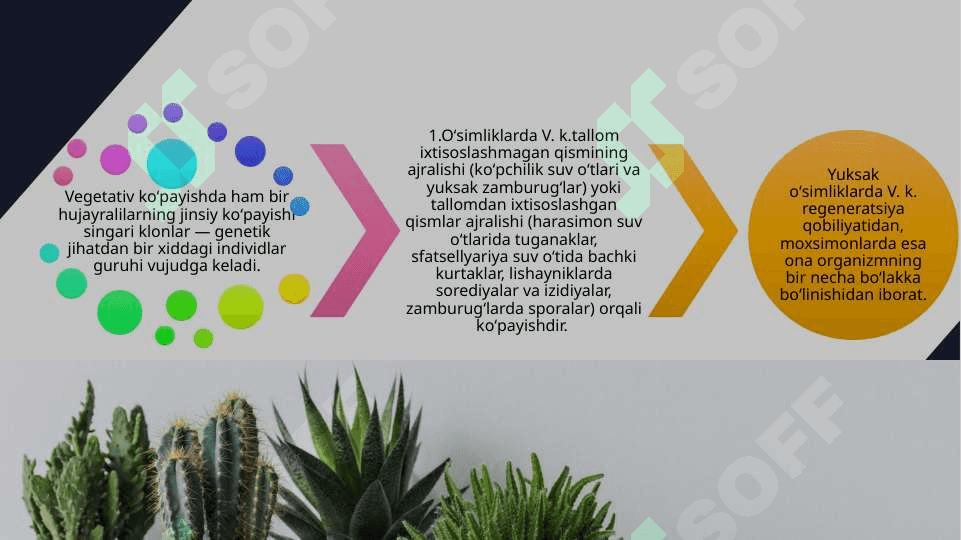 O’simliklarning ko’payishi 4
