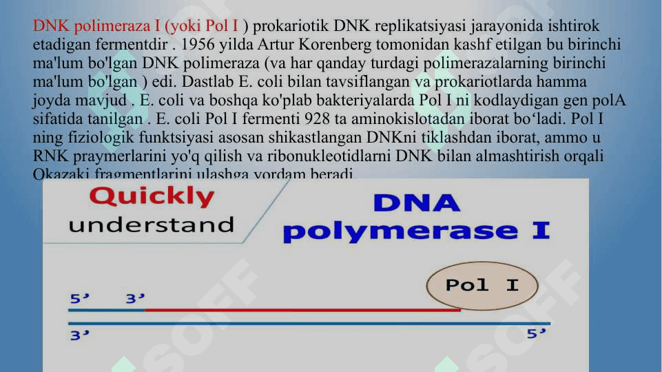 GEN MUHANDISLIGI FERMENTLARI 7