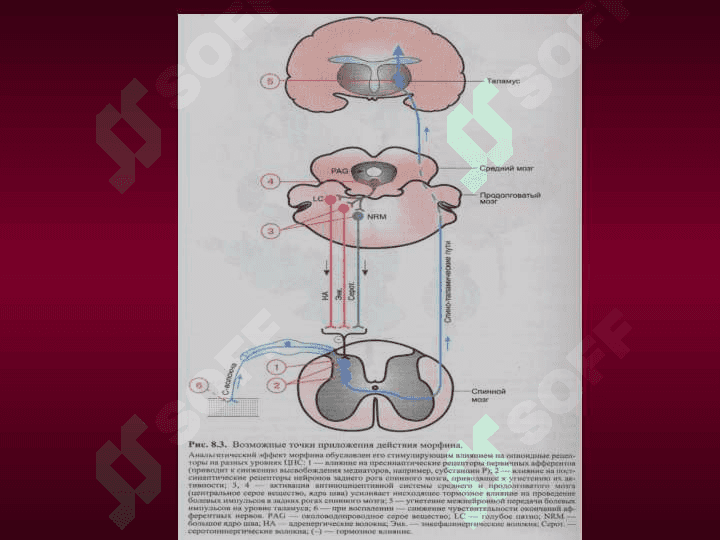 ANALGETIKLAR 7