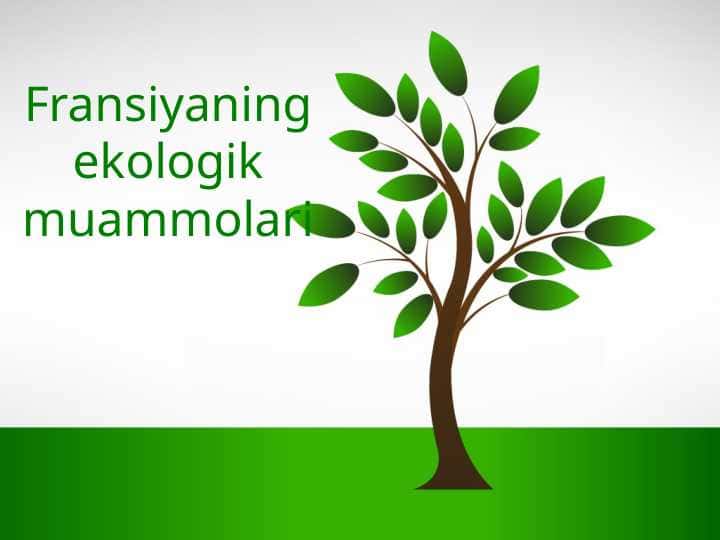 Fransiyaning ekologik muammolari