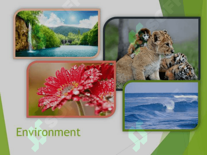 Environment 3