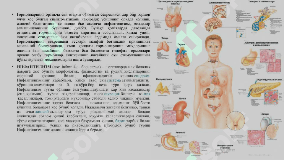 ЭНДОКРИН ТИЗИМИ 5