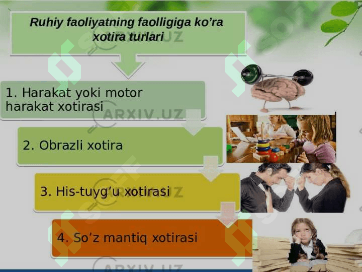 Miyaning mahalliy jarohatlanish jarayonlarida xotiraning buzilishi 4