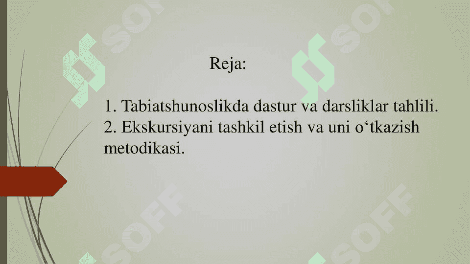 4-sinf  Tabiatshunoslik fanini tahlil qilish va taqriz yozish 2