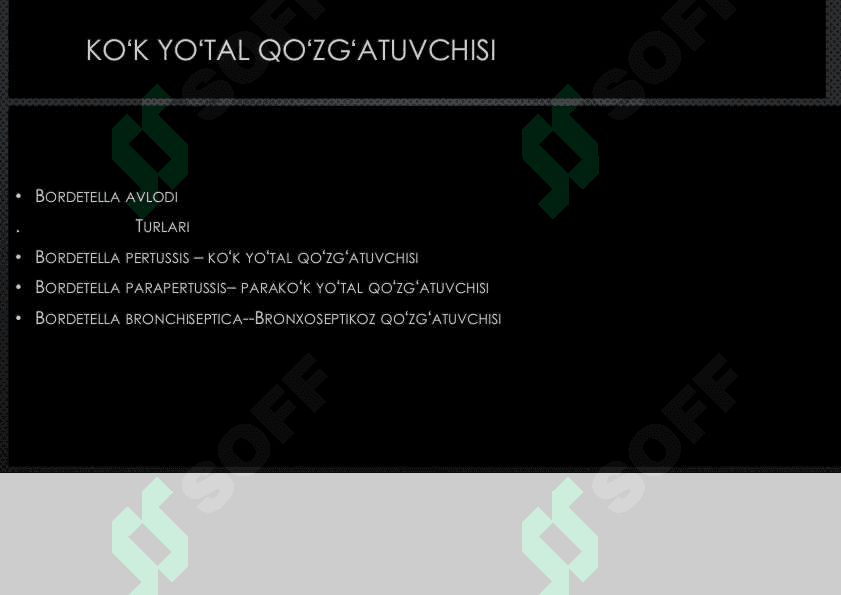 Koʻk yoʻtal qoʻzgʻatuvchisi 2