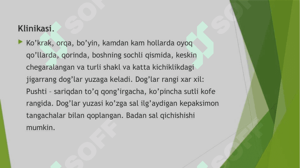 Terini Zamburugʻli kasalliklari 5