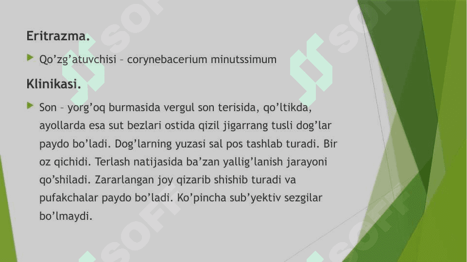 Terini Zamburugʻli kasalliklari 8